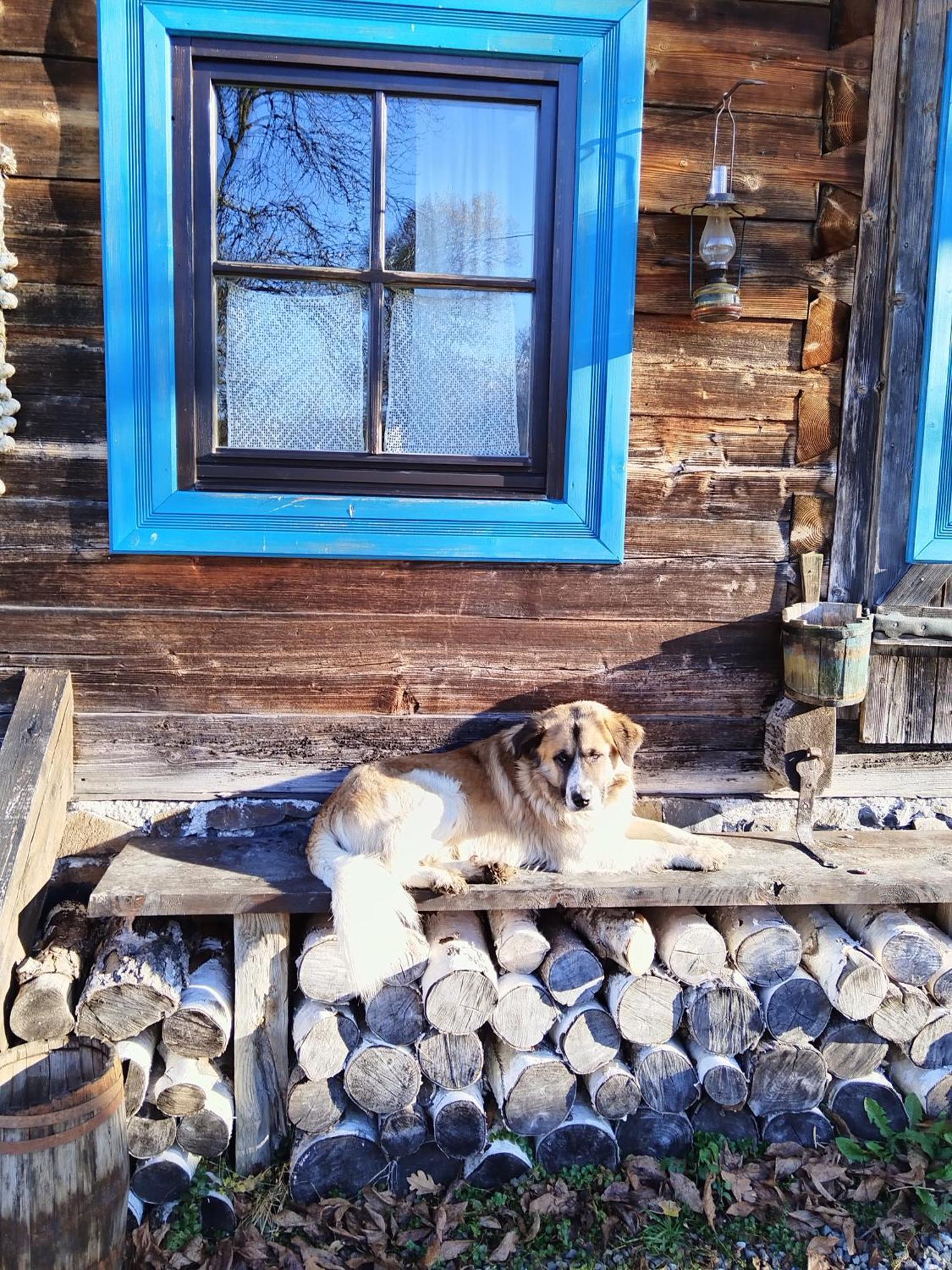 Small Apartment In Breb S Cosy Barn Δωμάτιο φωτογραφία
