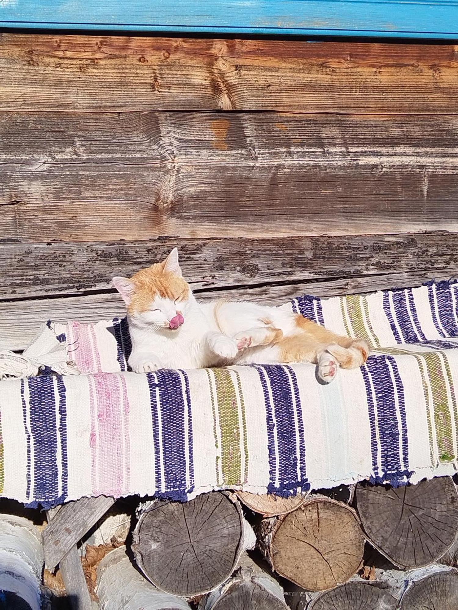 Small Apartment In Breb S Cosy Barn Δωμάτιο φωτογραφία
